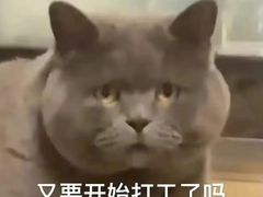 -振鼎鸡(丰庄路店)