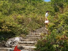 景点-翠屏五指山景区