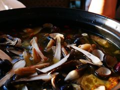 -蘑统田下·野生菌火锅