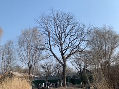 -三里河公园