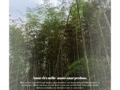 -宁波浙东大竹海景区