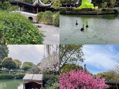 -盘门景区
