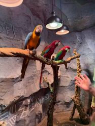 -Zoolung Zoolung动物主题公园(海信广场店)