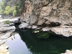 -黑河国家森林公园