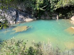 -广州白江湖森林公园