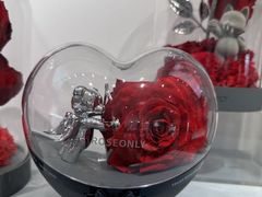 -ROSEONLY诺誓(广州K11店)