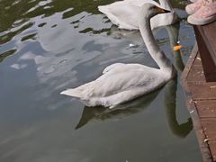 -海南热带野生动植物园