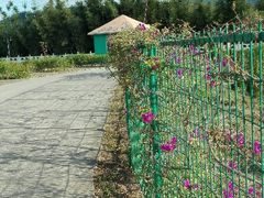 android_upload_pic-坪山湿地公园