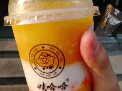 AD芒芒波波冰-娃哈哈·奶茶(武林店)