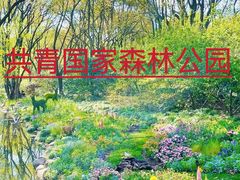 -上海共青森林公园