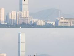 -深圳湾公园(南山区)