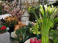 -PlantsEatery·植物食堂(REX春熙店)