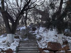 -锦绣公园