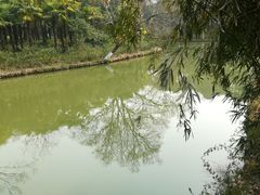 -红梅公园