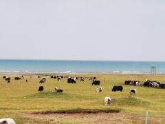 -青海湖国家重点风景名胜区