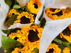 -循礼门鲜花花市(武汉循礼门店)