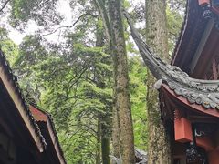-青城山