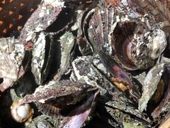 -蚝堡海鲜·威海菜·海肠捞饭·烧烤·亚洲吃蚝公司(幸福门店)