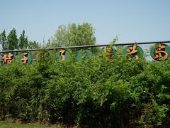 -前小桔亲子创意农场·草莓采摘·露营烧烤