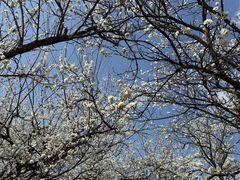 -名花谷生态庄园