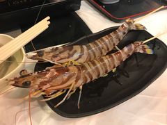 花竹虾-鲜入围煮花胶鸡海鲜火锅