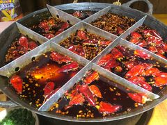 -白乐天毛肚火锅馆(解放碑店)