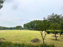 -顺峰山公园