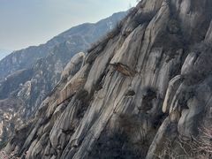 -北京凤凰岭