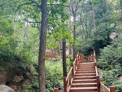 -大岭沟猕猴桃谷风景区