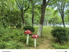 -燕鸣岛