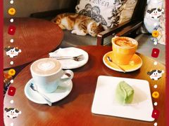 -咖法森林·咖啡  酒吧(天河店)