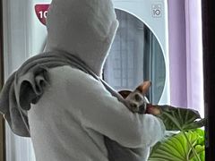 -周记热干面豆皮大王(桃花东街店)