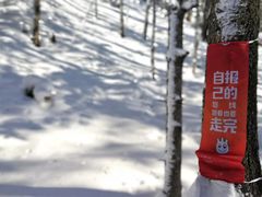 -雪谷