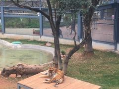 -昆明动物园