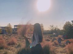 -映月湖中央公园