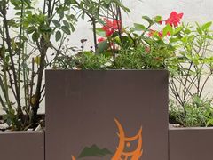 -金山嘴渔村