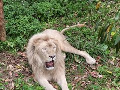 -泉州海丝野生动物世界