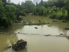 -云溪植物园