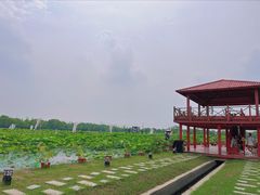 -嘉北郊野公园