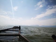 -呈贡滇池生态湿地公园