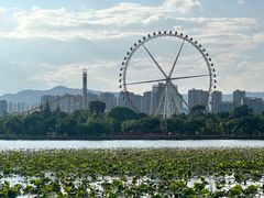 -庾园