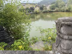 -黄牛肉馆·皖南土菜