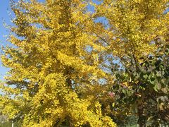 -北京宽沟会议中心