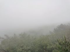 -妙峰山风景名胜区