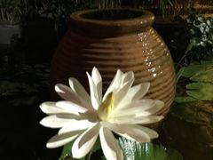 -壮乡楼民俗文化苑(李宁体育园店)
