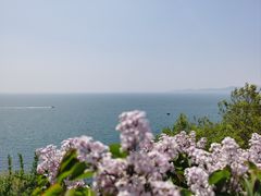 -大连金石滩滨海国家地质公园