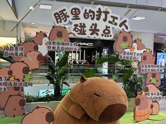 -凯德MALL(西直门店)