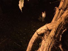 -扬州瘦西湖汇金酒店