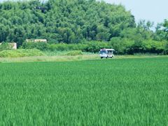 -良渚古城遗址公园