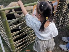 -黄海国家森林公园